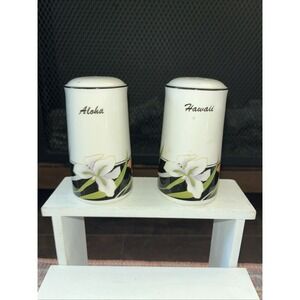 Hawaii Souvenir Porcelain Salt and Pepper Shakers